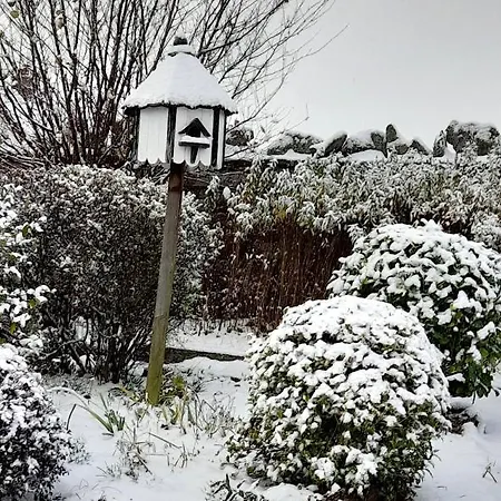 ゲストハウス The White House Clifton (Cumbria)
