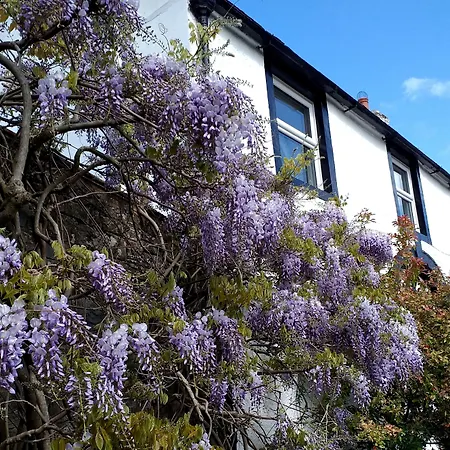 Konukevi The White House 4*