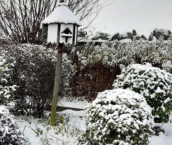 Guest house The White House Clifton (Cumbria)