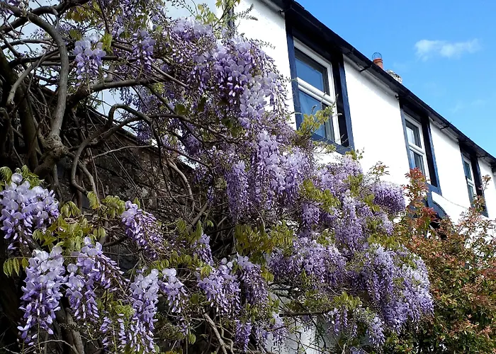 Guest house The White House 4*